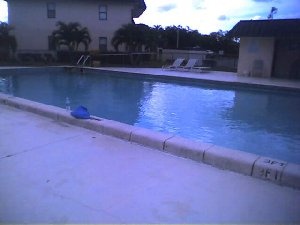 thepool.jpg